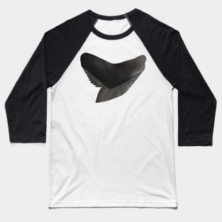 Tiger Shark Tooth Baseball T-Shirt